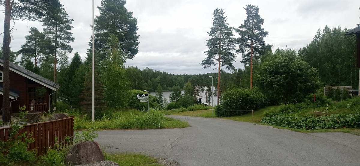 20250708_132905.jpg