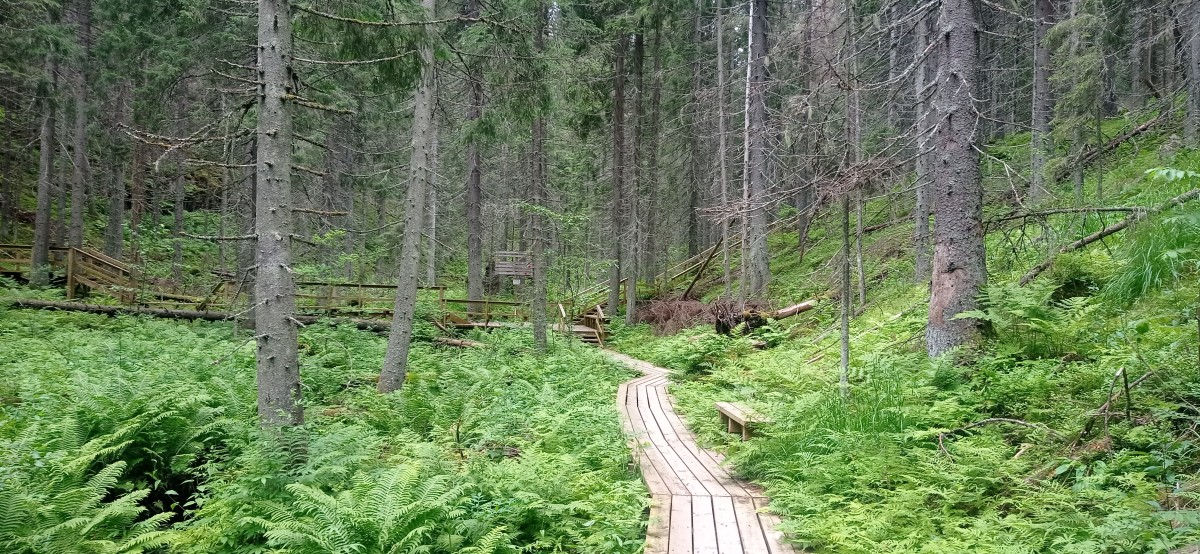 20250709_084923.jpg
