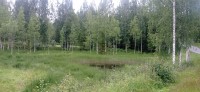 20250708_132420.jpg