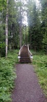 20250708_170410.jpg