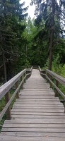 20250708_170736.jpg