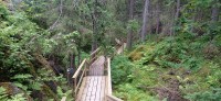 20250708_173836.jpg
