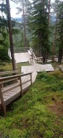 20250709_083627.jpg