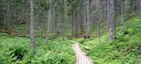 20250709_084923.jpg