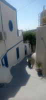 20250804_101035.jpg