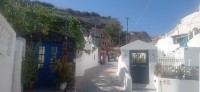 20250804_101527.jpg