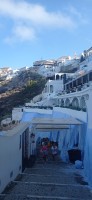 20250805_085929.jpg