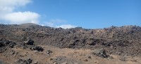 20250805_105749.jpg