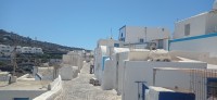 20250805_141110.jpg