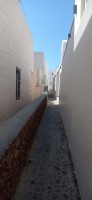 20250806_104425.jpg