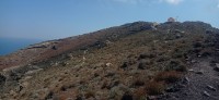 20250806_113250.jpg