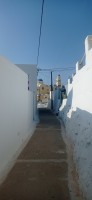 20250807_091856.jpg