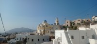 20250807_091919.jpg
