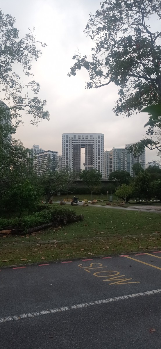 20260207_190020.jpg