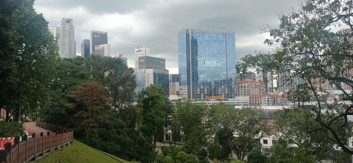 20260211_145012.jpg