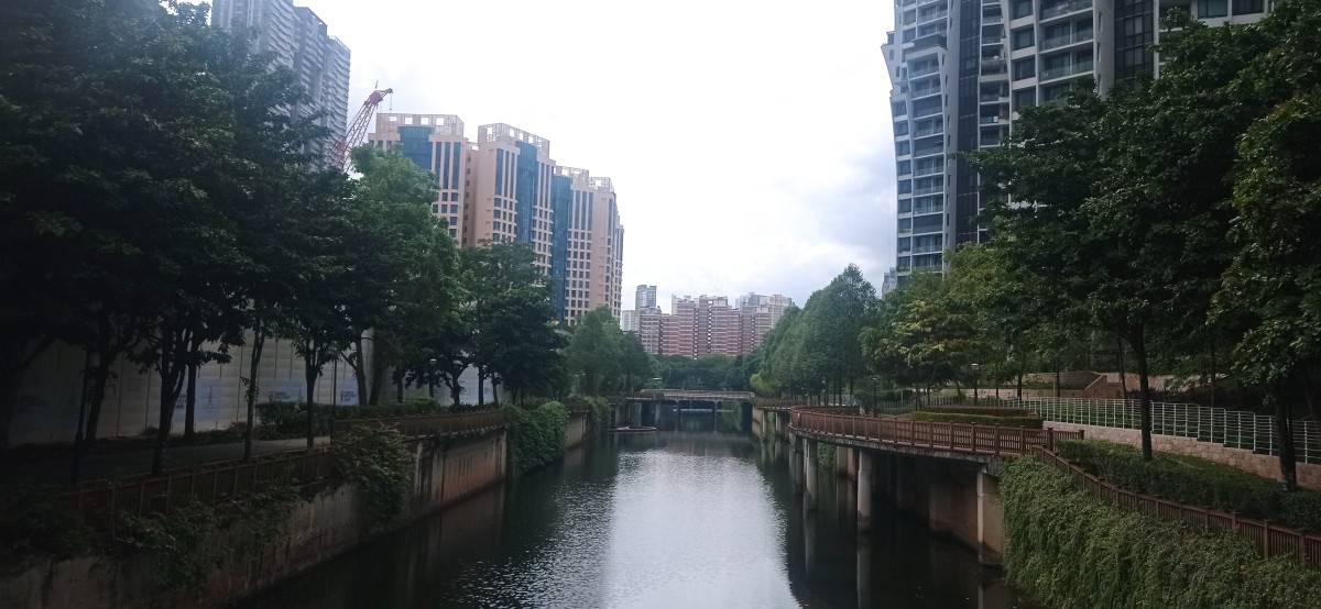 20260211_154947.jpg