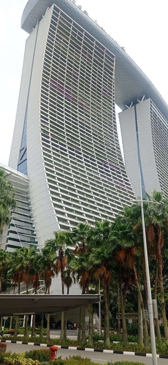 20260212_111835.jpg