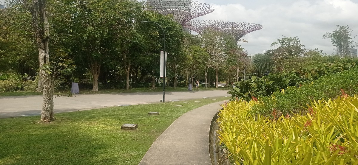 20260212_120004.jpg