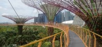 20260212_114819.jpg