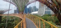 20260212_114829.jpg