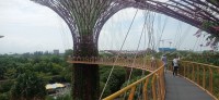20260212_114929.jpg