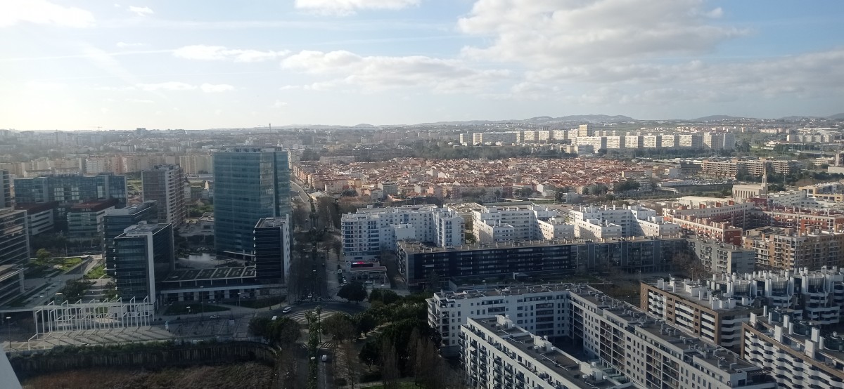 20260219_153931.jpg