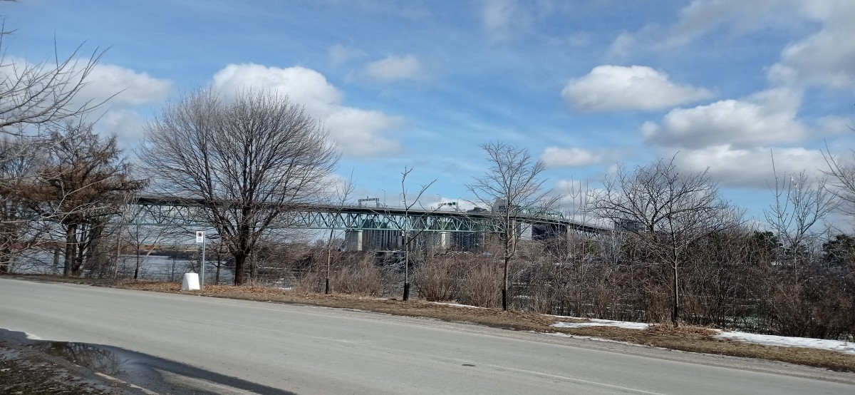 20260313_114507.jpg