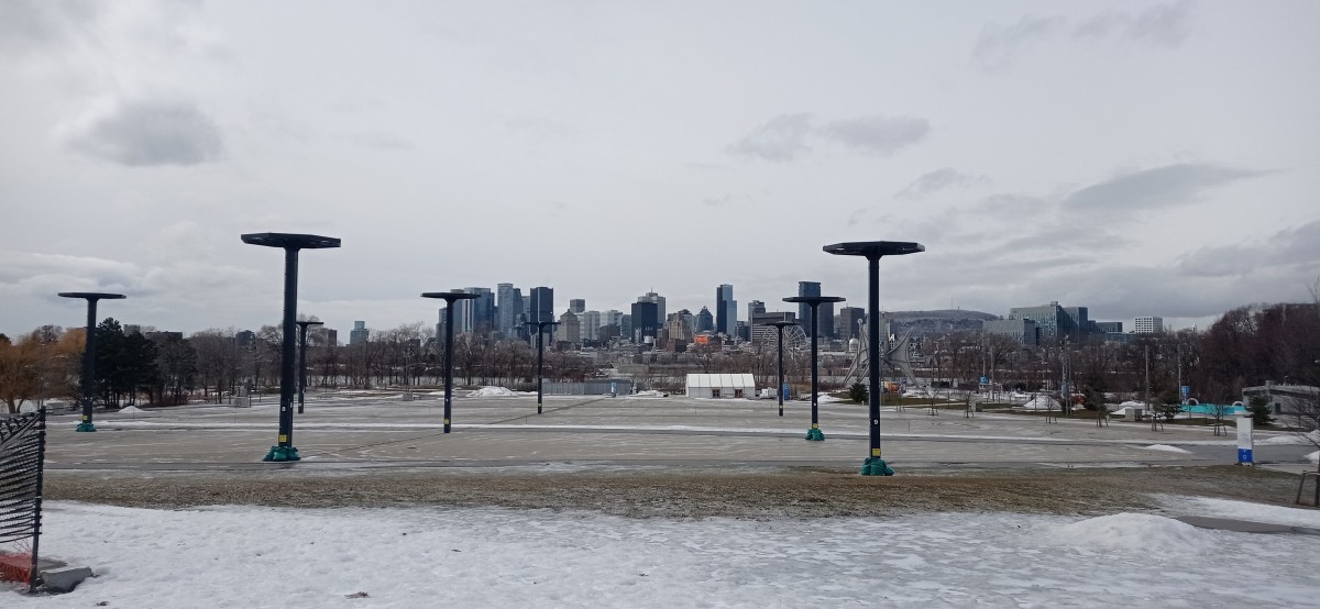 20260313_125214.jpg
