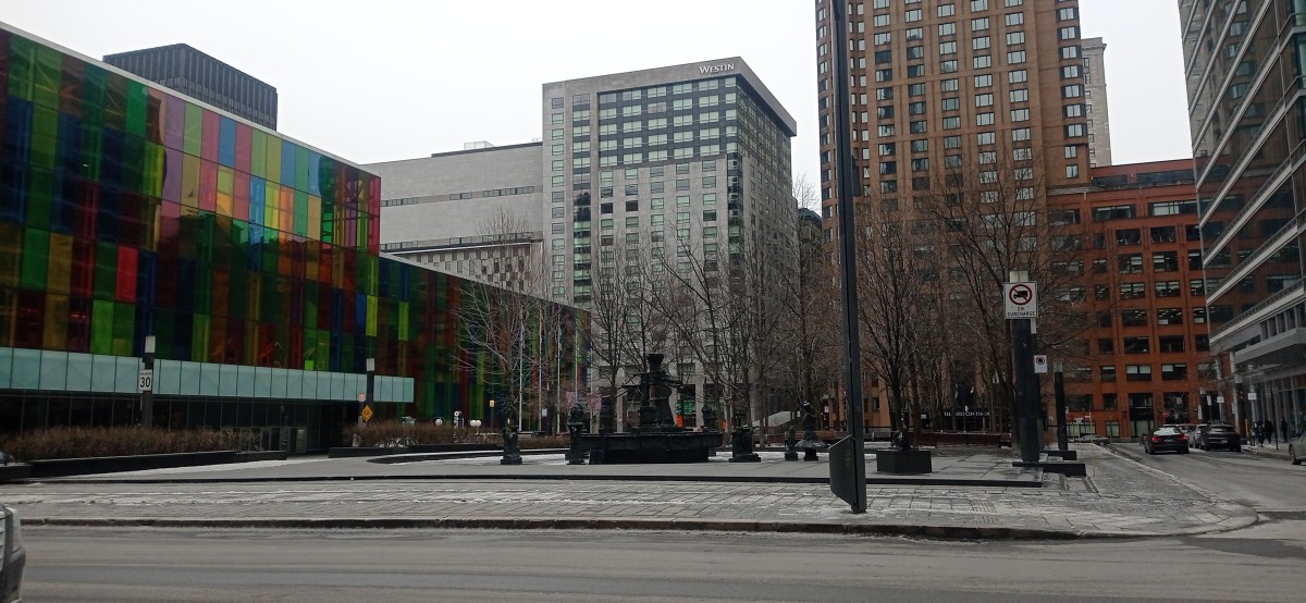 20260313_155009.jpg