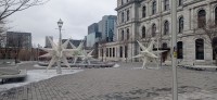 20260312_144449.jpg