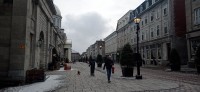 20260312_151332.jpg