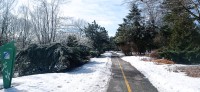 20260313_105901.jpg