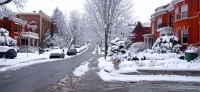 20260314_103240.jpg