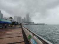 20260405_094240.jpg