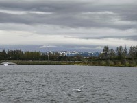20260522_104422.jpg