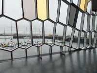 20260523_185352.jpg