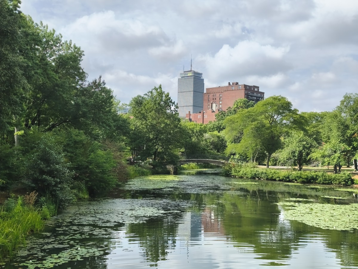 20260828_100236.jpg