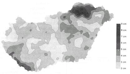 1.jpg (12728 bytes)