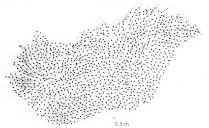 3.jpg (24461 bytes)