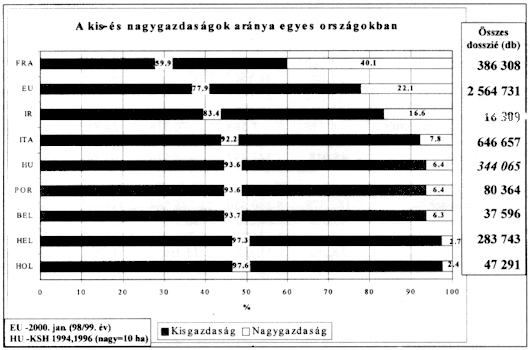 11.gif (53443 bytes)