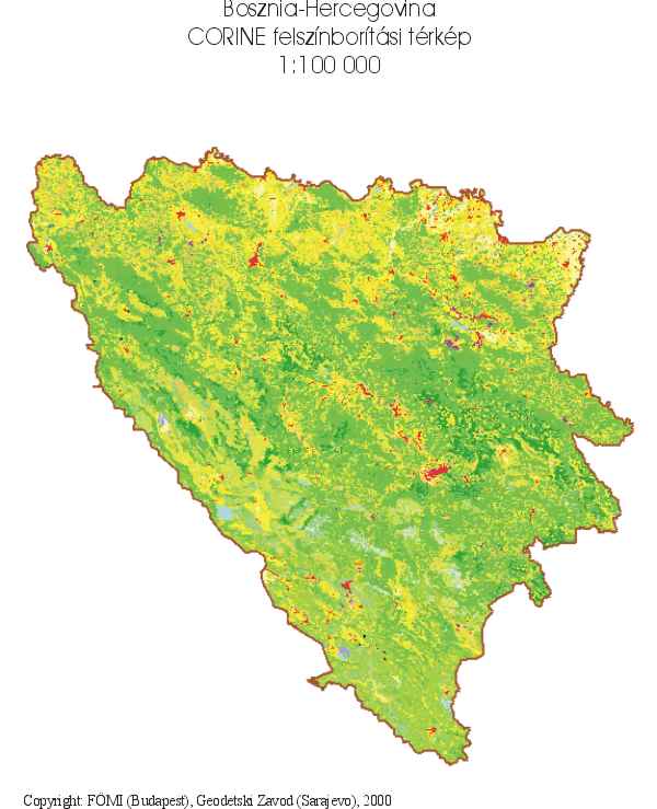 5.jpg (39529 bytes)