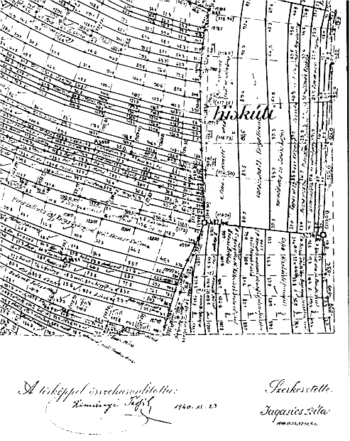 1.gif (46200 bytes)