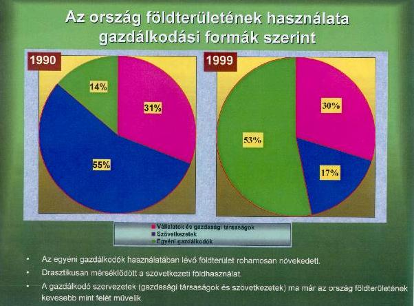 3.jpg (47708 bytes)