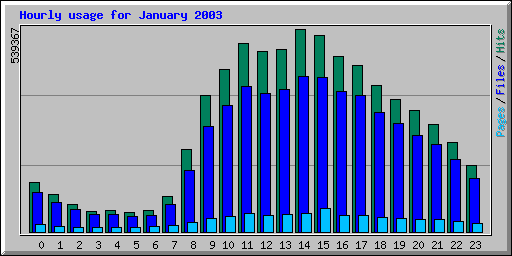 Hourly usage for January 2003