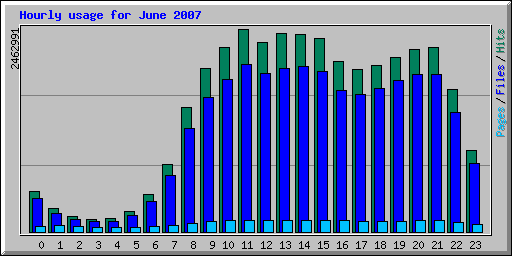 Hourly usage for June 2007