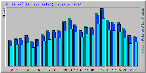 Óránkénti használat: December 2024