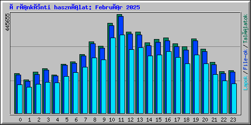 Óránkénti használat: Február 2025