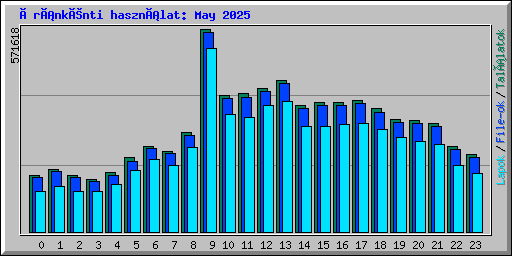 Óránkénti használat: May 2025