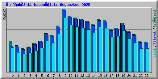 Óránkénti használat: Augusztus 2025