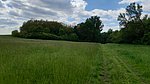 20250509_112214.jpg